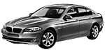 BMW F10 P0200 Fault Code